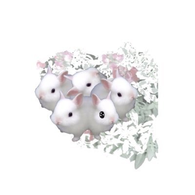 シーサン。🍜🍺