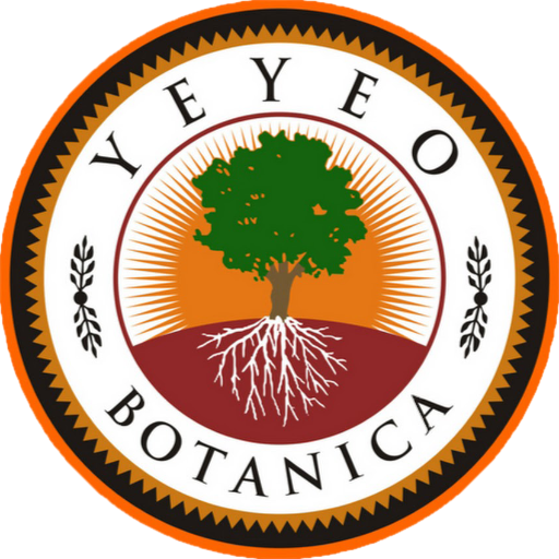 Yeyeo Botanica