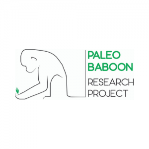 PaleoBaboon Research Project