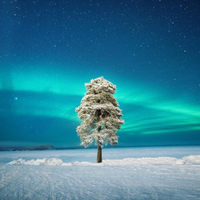 Most Beautiful Pictures