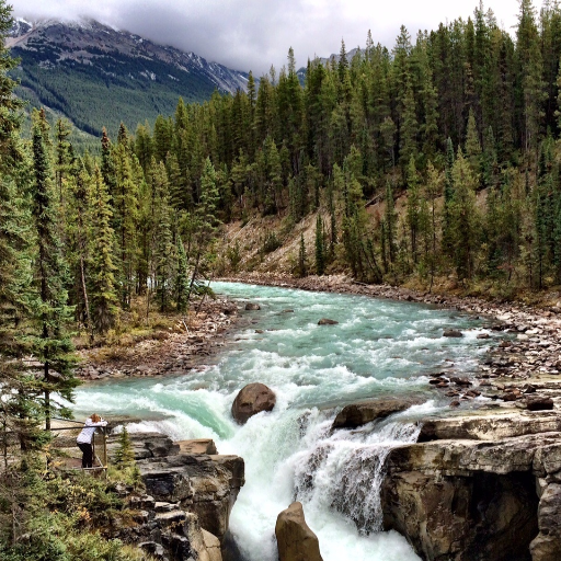 vam Socialist 'For the Many, Not the Few'# NHS💙💜