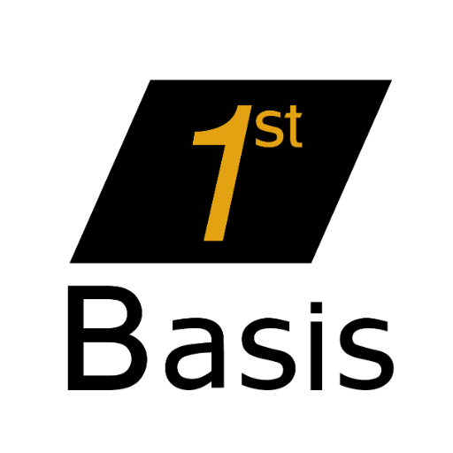 1st Basis Consulting