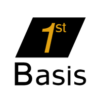 1st Basis Consulting
