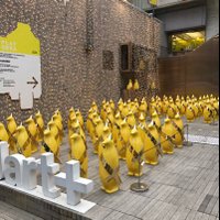 みるく✨美活垢