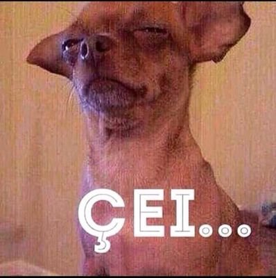 Beth Guimarães♥️🇧🇷🇻🇳