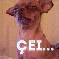 Beth Guimarães♥️🇧🇷🇻🇳