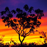 RYAN 🏈⚽️🏀🎾