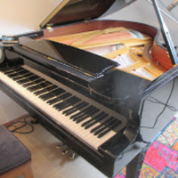 germanpianist🇩🇪🇮🇱