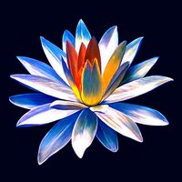 Infinity Sentinel ॐ Migel Konstantin