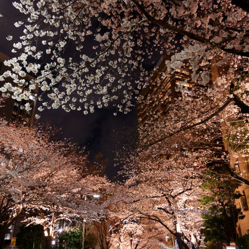 Reiki_Ayusawa (color)