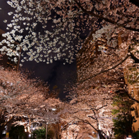 Reiki_Ayusawa (color)