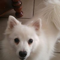 tonia patella❤🇮🇹🍀☆☆☆