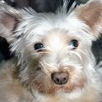 国民不在と政治不信