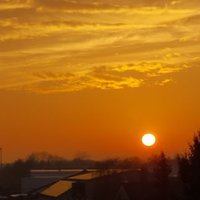 Frank - erwärmt sich für Klima & so 🇺🇦 🇮🇱 📯