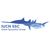 IUCN SSC Shark Specialist Group