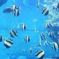 YuuKuni@PrayforJAPAN