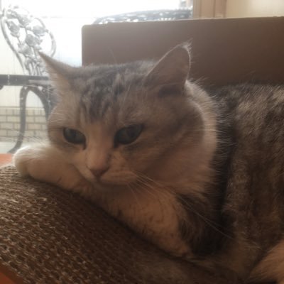 むぅにゃん🔰🐷🐷🐷🔰