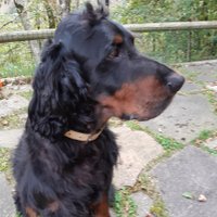 Lorena🇮🇹❤🖤🇮🇹#MTW