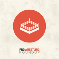 Pro Wrestling Roundup