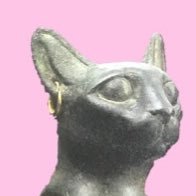 ももたろう＠museum_in_mt.