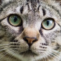 NYATTA_2010👯‍♀️❤️‍🔥💫🌸☃