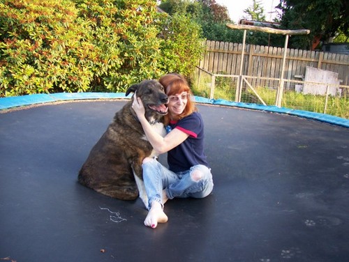 Laurie stands with Ukraine🇺🇦🟧