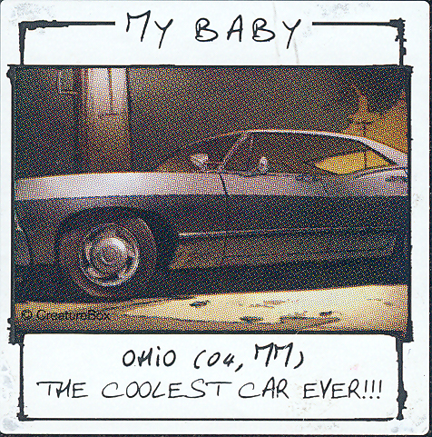 RedBirdSPN〽️💙🦁🏈🐯⚾️