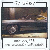 RedBirdSPN〽️💙🦁🏈🐯⚾️