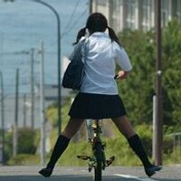 世界は数字で出来ている