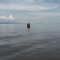 Panic! At The PitStop