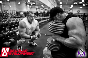 Eric DiLauro Online Coach & Fitness Consultant