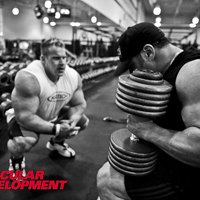 Eric DiLauro Online Coach & Fitness Consultant