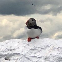 Jen Lucas ✍🐈📖🦩📚