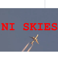 NI SKIES