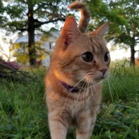 camme🏳️‍🌈🐾🙏🎶🌏🐞