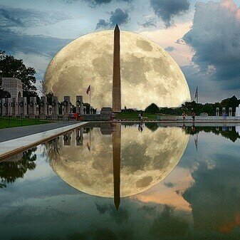 🆘VoteToMove🇺🇸Frwd🆘