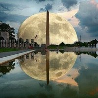 🆘VoteToMove🇺🇸Frwd🆘