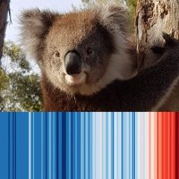 🏳️‍⚧️🏳️‍🌈🔥😪🌏🌱🌱🦇🐈🍾🥂Anne Binns