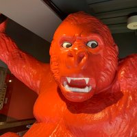 Repos(レポス)小岩🦍カリフォルニア酒場🍔アメリカン＆メキシカン🌮