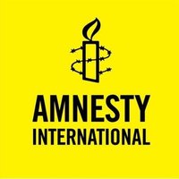 Amnesty International Strategic Litigation