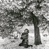 Cavelier Nicolas🐟