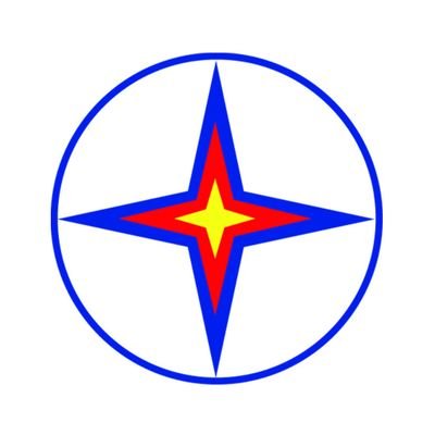 Vietnam Electricity (EVN)