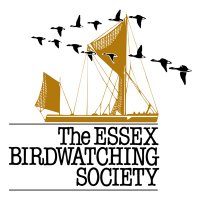 EBwS Bird News