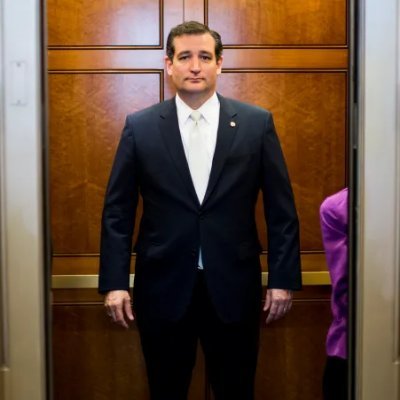 ted cruz ebooks