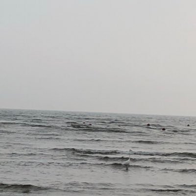 공산당이 싫어요!