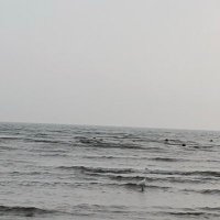 공산당이 싫어요!