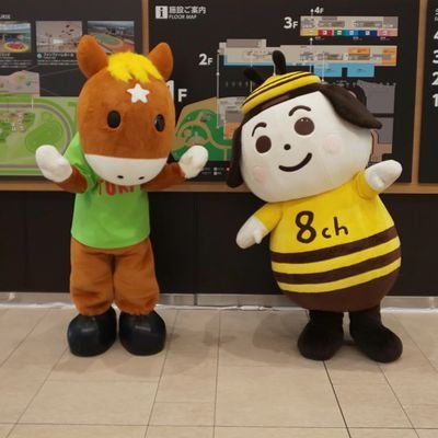 kazuchannel1218【女子アナ・女子ボートレーサー・ガールズケイリンfan】