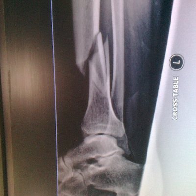 Don '@maisongladys.bsky.social' Coyote