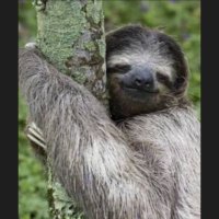 Slothsforme