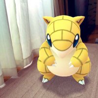 はくりゃくおんこうし